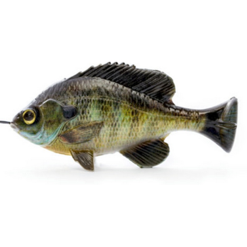 Pulse Tail Bluegill Loosebody