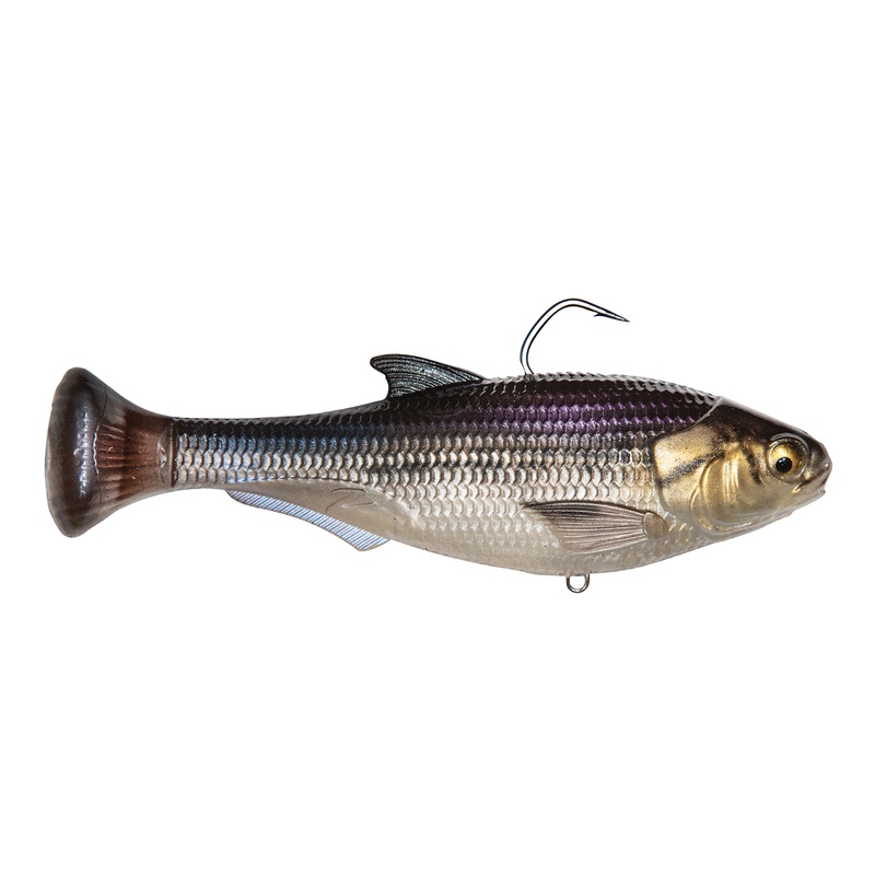Z-Man Shadtron LT 4.5″ – Fast Sink Gizzard Shad
