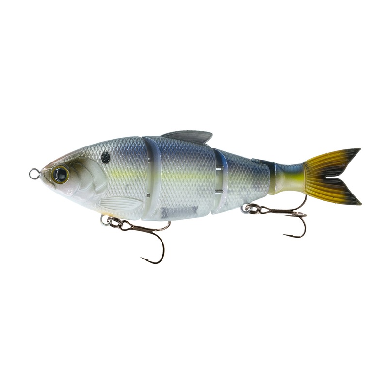 Trace 6″ – Live Shad Floating
