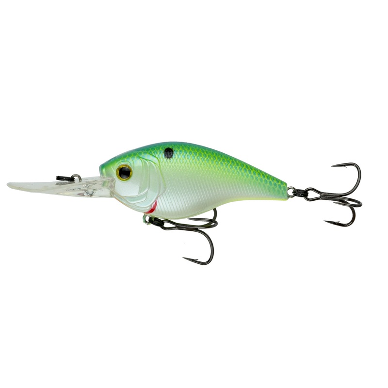 Cloud 9 – Candy Citrus Shad C10