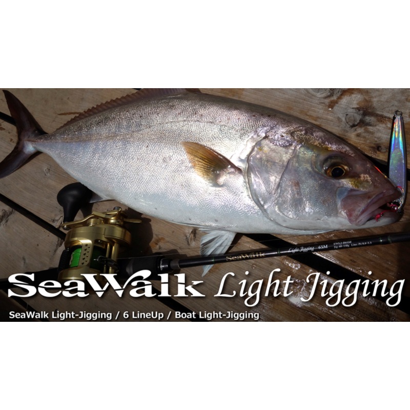 Yamaga Blanks Seawalk Light Jigging B66ML Baitcast Rod
