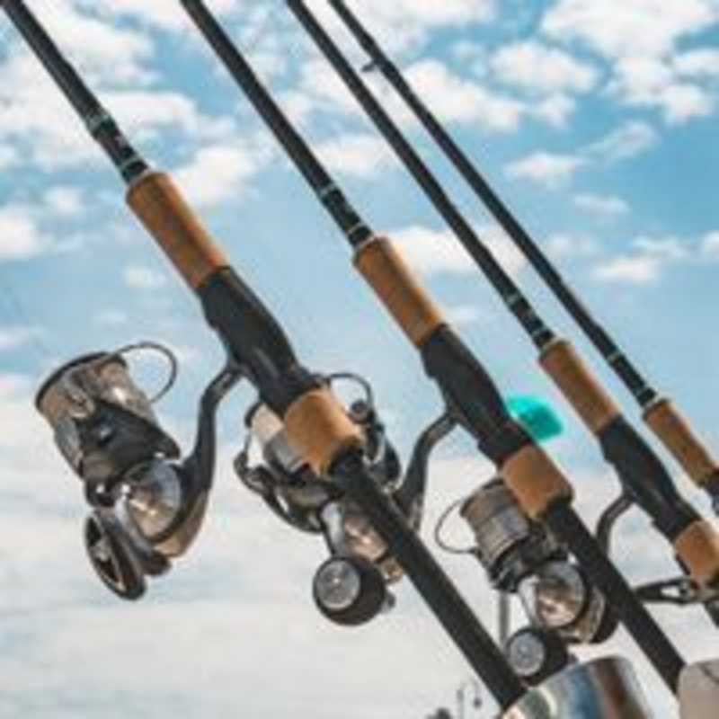 Daiwa Blackline Inshore BLB701MLFS Spinning Rod – Daiwa Blackline Inshore Rods