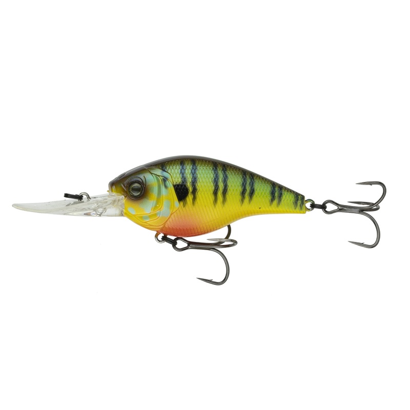 Cloud 9 – Mud Gill C10