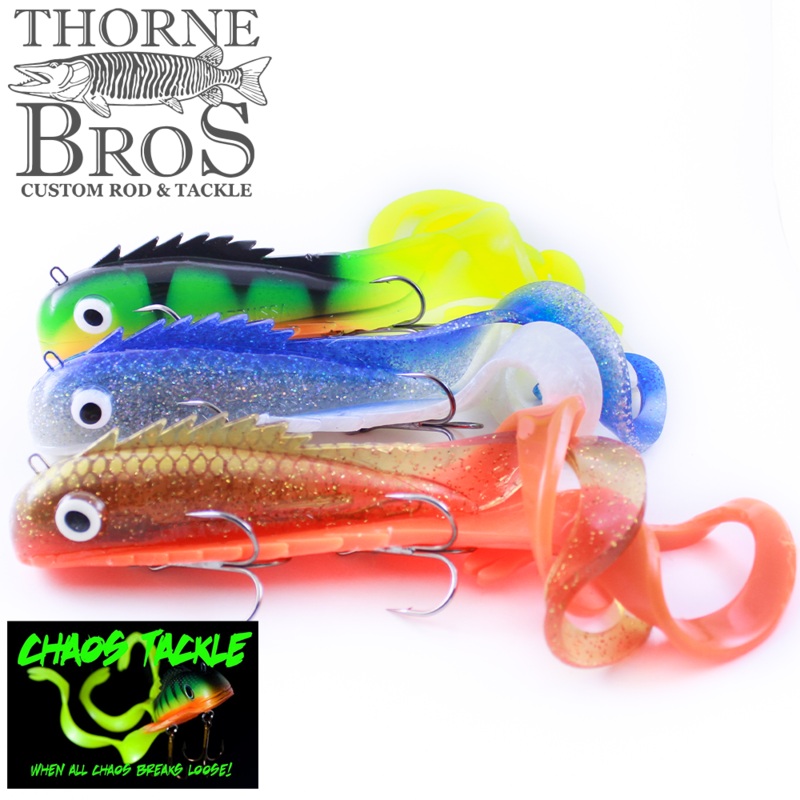 Chaos Husky Medussa TBC Chartreuse Head Natural Cisco