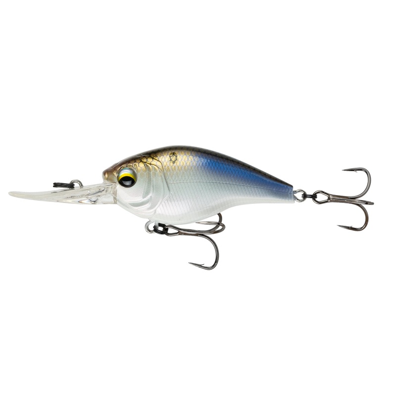 Cloud 9 – 4K Shad C6