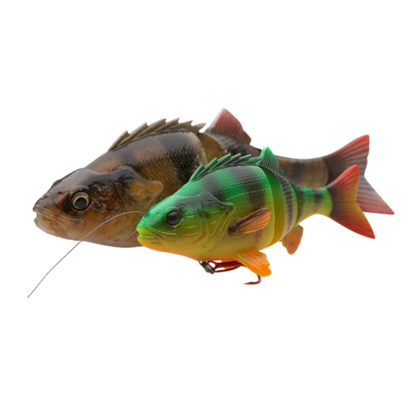 4D Yellow Perch