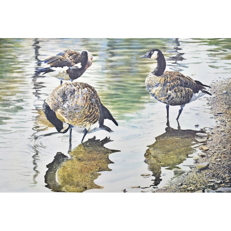 Scott Woolever – Water’s Edge – Fine Art Print 56/750