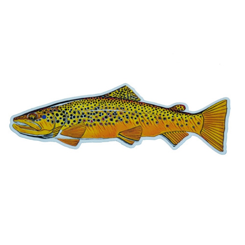Avidmax Brown Trout 5″ Sticker – AvidMax