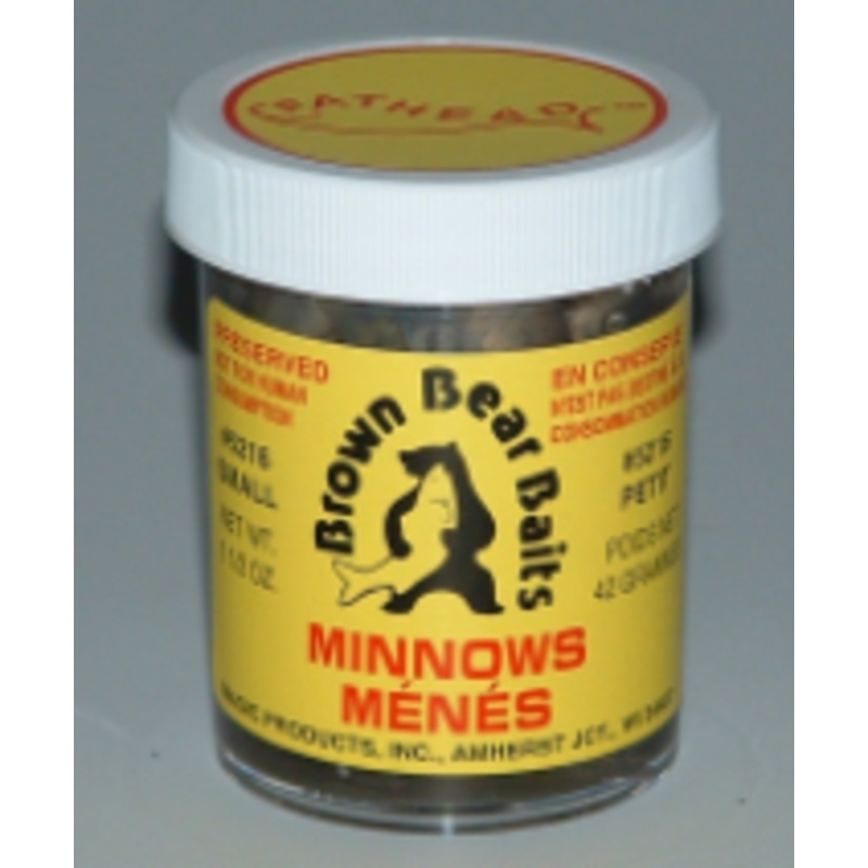 Preserved Fathead Minnows