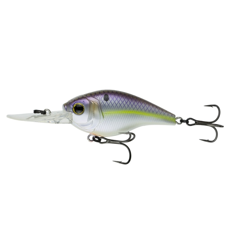 Cloud 9 – Wild Shad C6