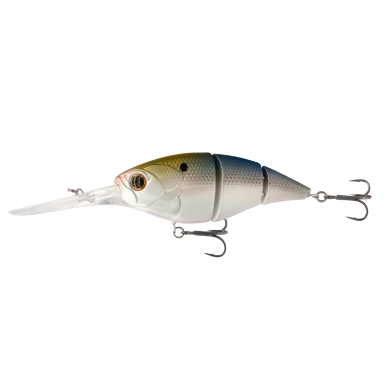 The Unit 24 – 4k Shad 4K Shad