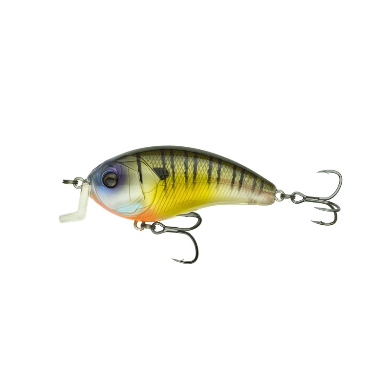 Swank Series – Bluegilla 66X
