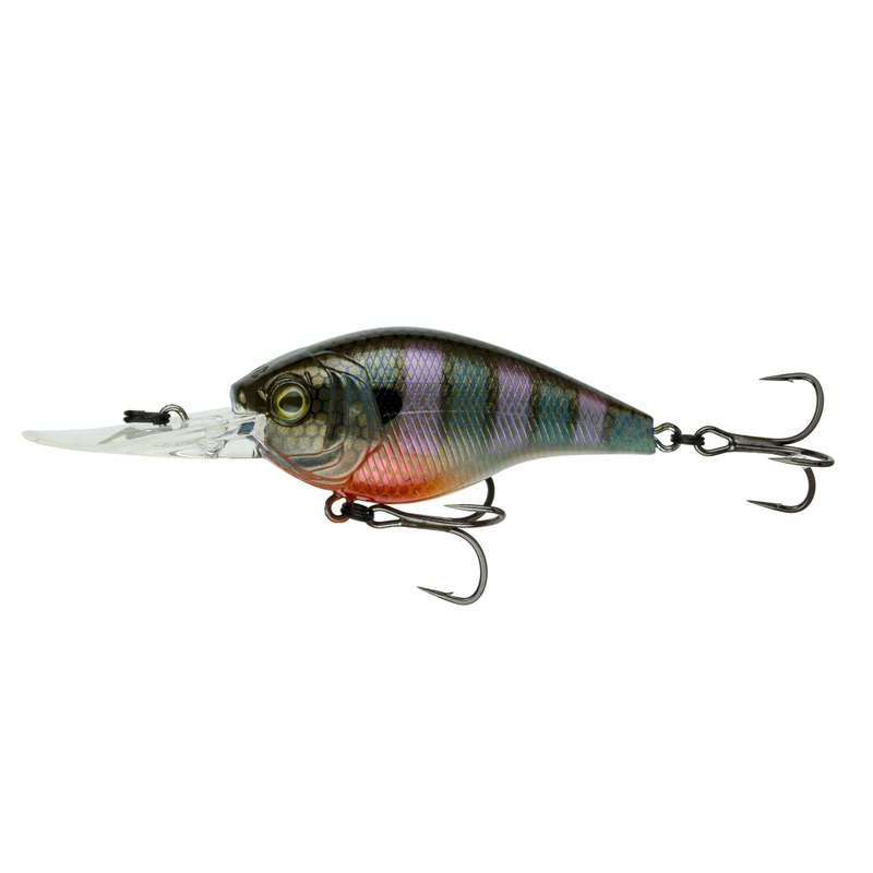 Cloud 9 – Bluegill Spawn C6
