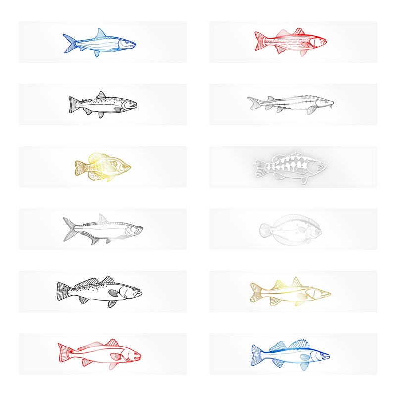 Monochrome Gamefish Rod Decals – Freshwater & Inshore Crappie Black