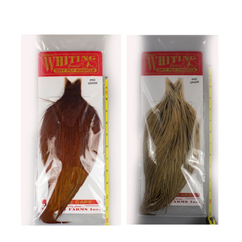 Whiting Farms Pro Grade Cape  Fly Tying Feathers – AvidMax