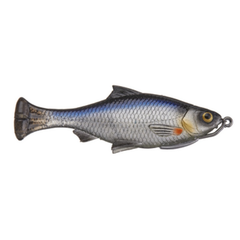 Pulse Tail Shiner Loosebody
