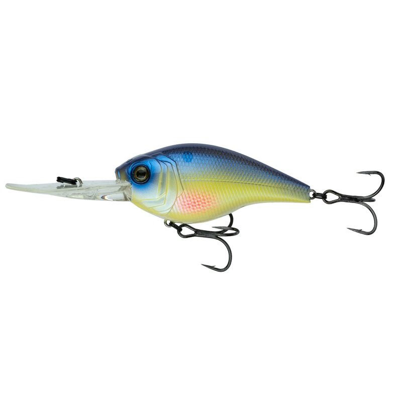 Cloud 9 – Chartreuse Sungill C10