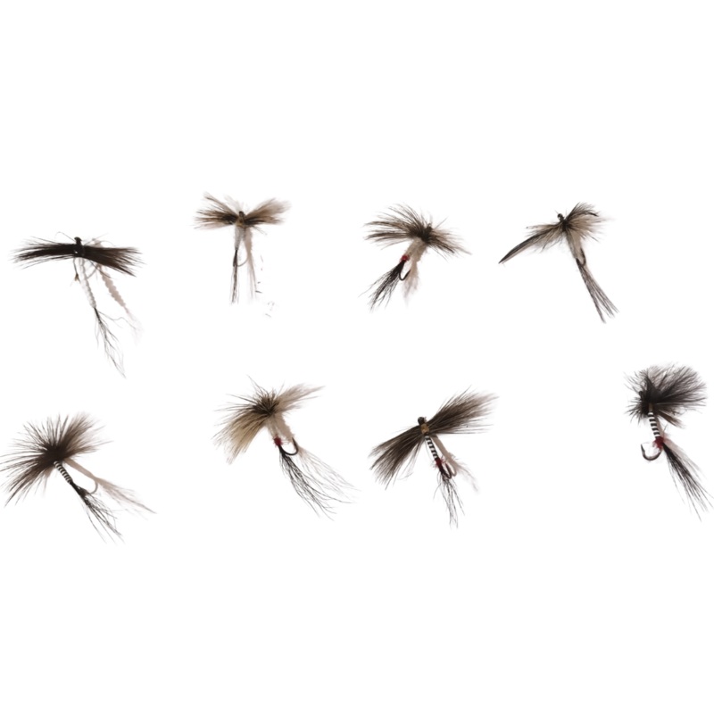 Spent Fly Mixture x5 Flies 10