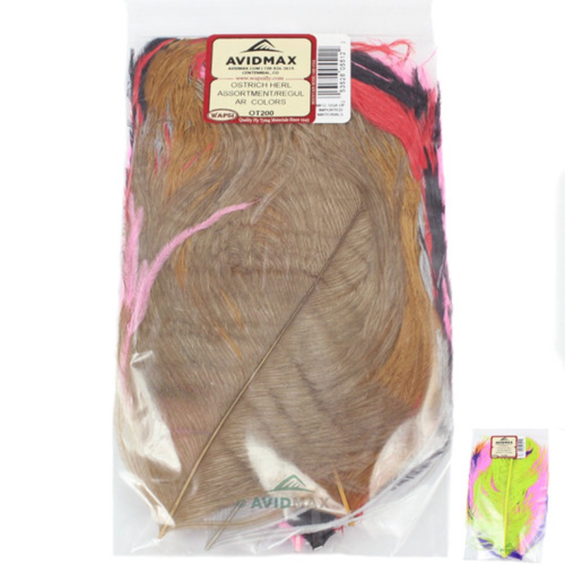 Wapsi Ostrich Plumes Assortment – AvidMax