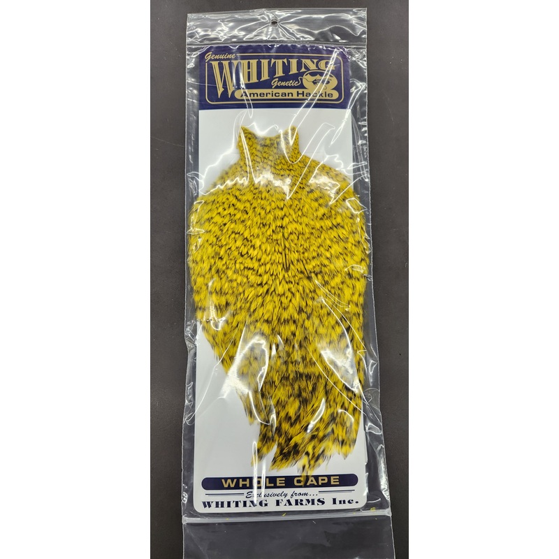 Whiting American Rooster Cape Brown