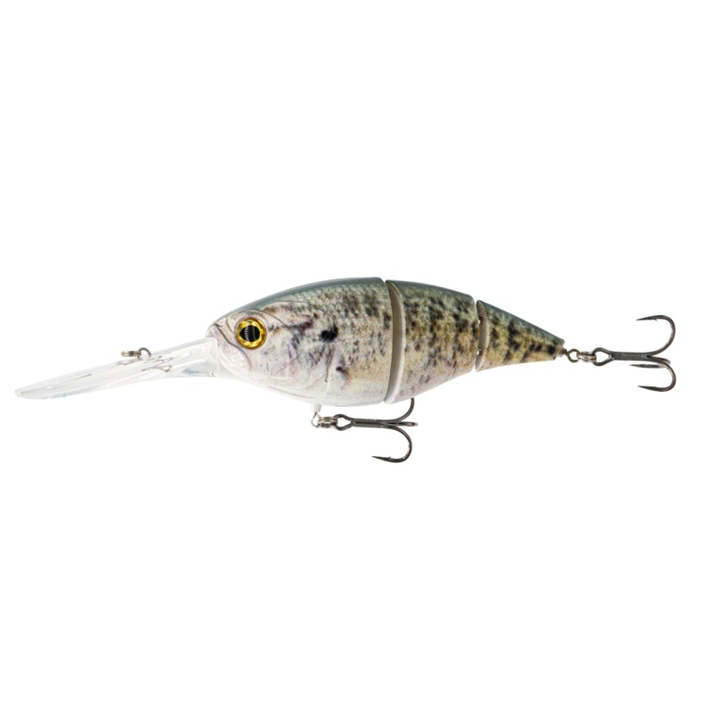 The Unit 24 – Live Crappie Live Crappie