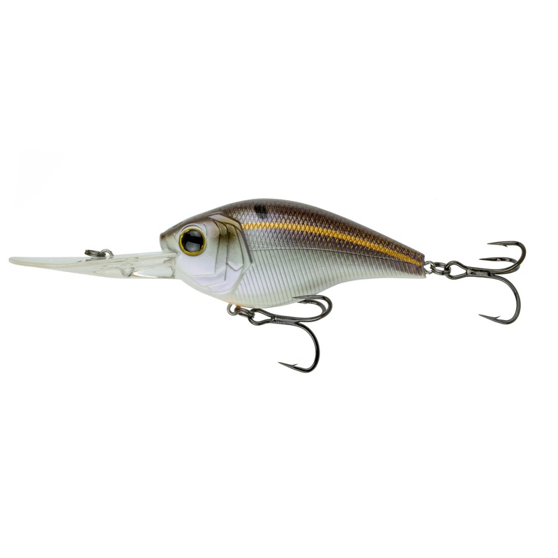 Cloud 9 – Gizzard Shad C15