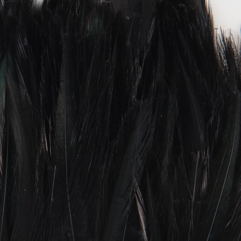 Wapsi Strung Neck Hackle Black