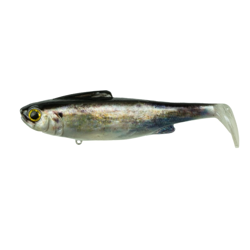 Hangover – Live Shad Medium Sink (2.7oz)